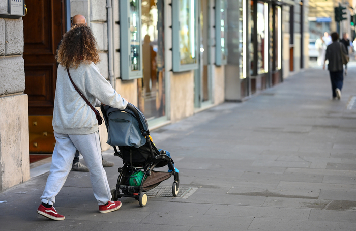 Il Calo Delle Famiglie Con Fig