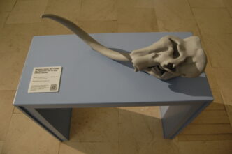 Il Museo Nazionale D27Abruzzo P