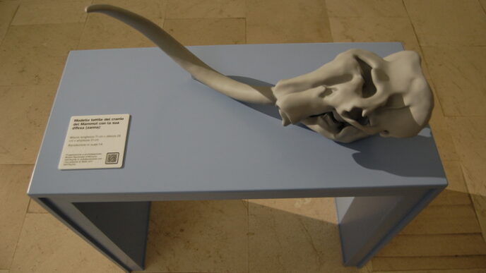 Il Museo Nazionale D27Abruzzo P