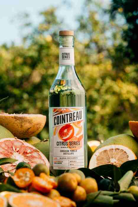 Il Pomelo Di Corsica3A La Ricet