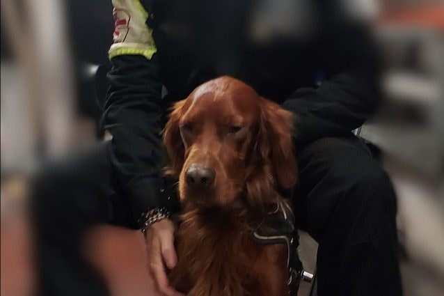 Il Salvataggio In Metro3A Un Ca