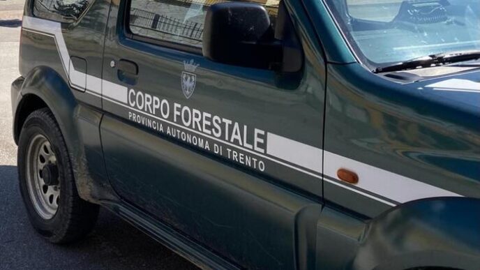 Incidente Notturno A Fai Della