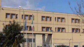 Incremento Delle28099Organico Della