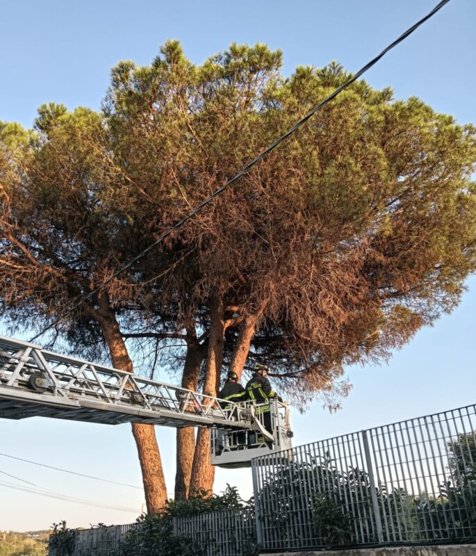 Intervento Dei Vigili Del Fuoc 1