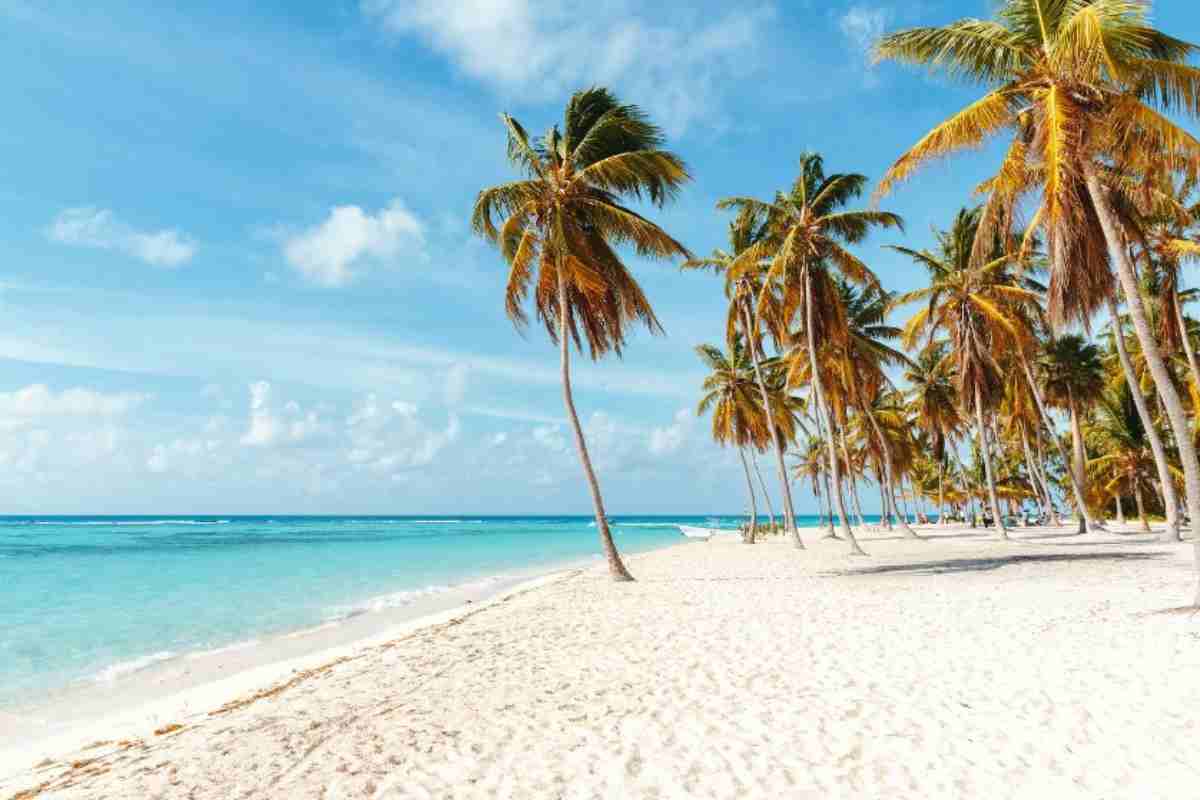 Con Il Costo Di Un Garage Compri Un'Isola Ai Caraibi: È Tutto Vero E Ci Vai In Vacanza Quando Vuoi 5 Acquisto Isola Caraibi