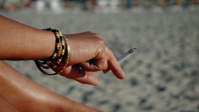 Italia2C Il Fumo Tra I Giovani3A