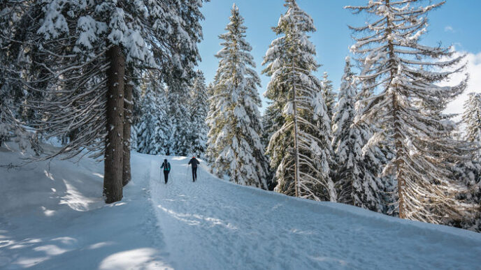 L27Inverno A Lana3A Nevicate2C Ga