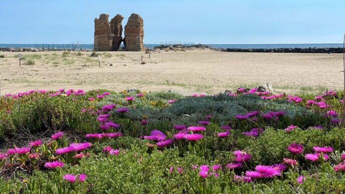 La Palude Di Torre Flavia In L