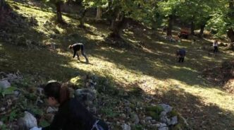 La Tradizione Della Raccolta D