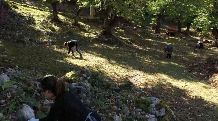 La Tradizione Della Raccolta D
