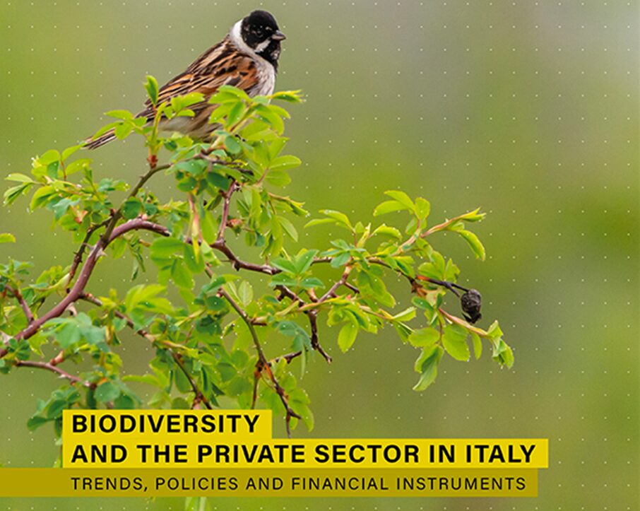 La Tutela Della Biodiversitc3A03A
