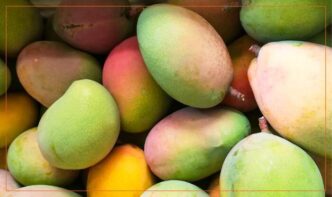 Le Prospettive Del Mango Sicil