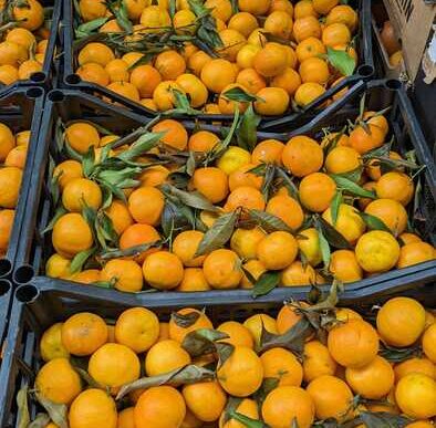 Mercato Degli Alimenti3A Prezzi