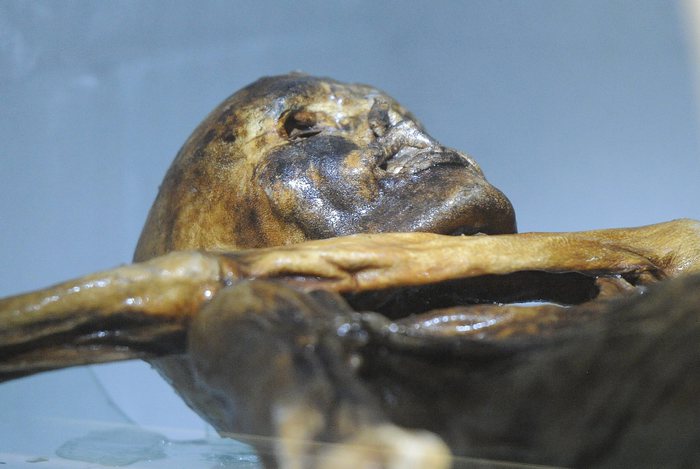 Nuovo Museo Per Oetzi3A La Prov