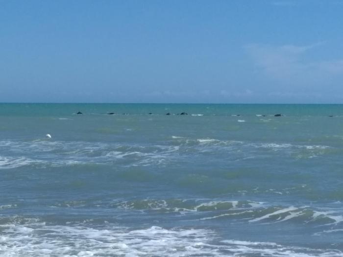 Operazione Antimafia In Basili