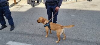Operazione Contro Il Traffico