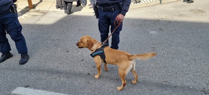 Operazione Contro Il Traffico