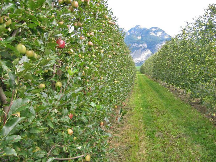 Ottimismo Nel Settore Agroalim