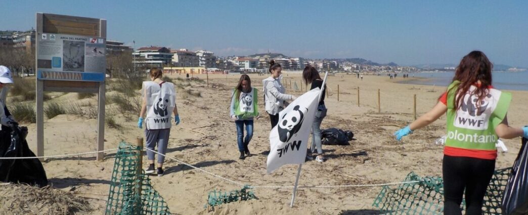 Pescara3A Al Via La Pulizia Del