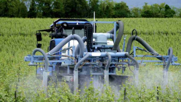 Prodotto Usatissimo A Tavolo A Rischio Pesticidi