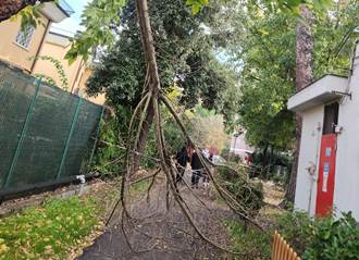 Preoccupazione Per La Sicurezz 1