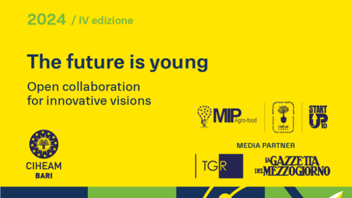 Quattro Giorni Di Innovazione