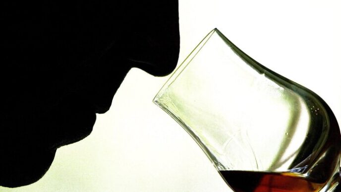 Rc3A9My Cointreau Presenta Risult