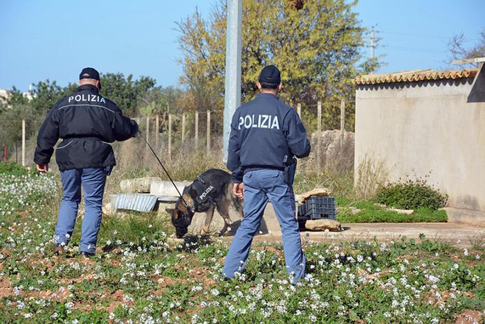 Ricerche Intensificate Per L27E