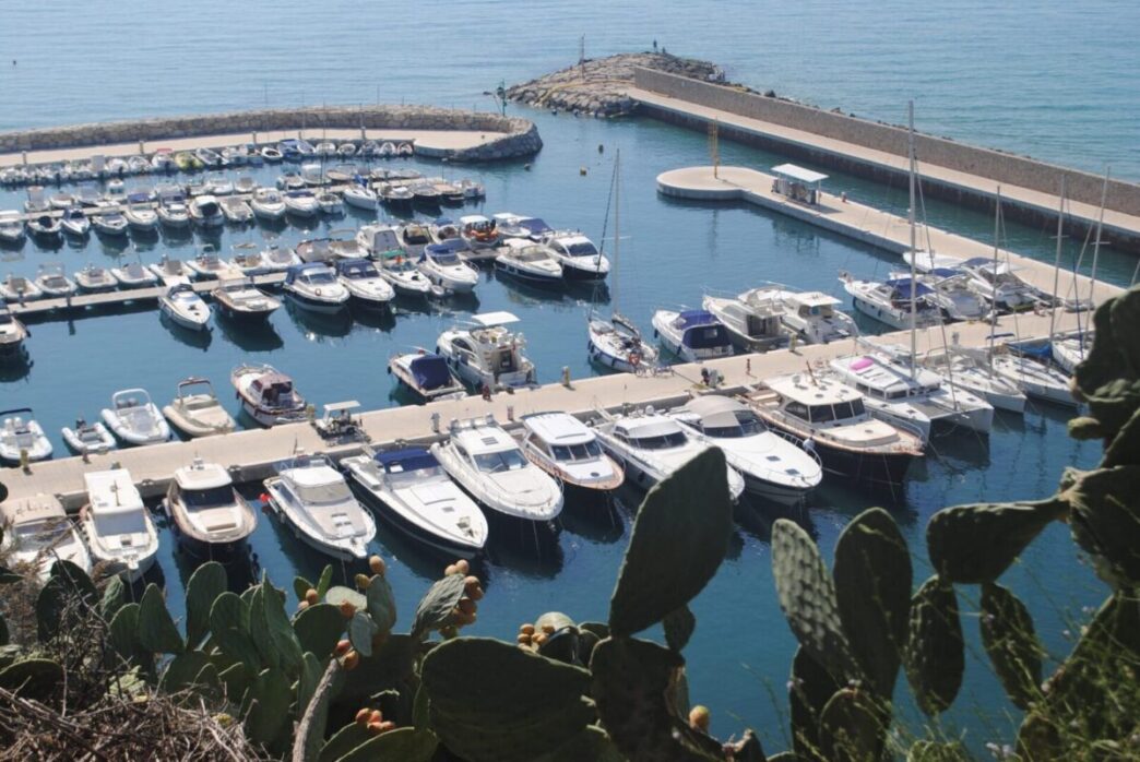 Riconoscimenti Blue Marina Awa