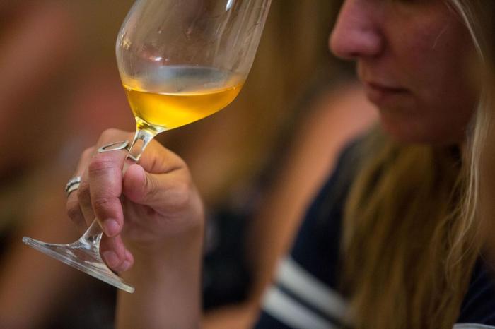 Riconoscimento Al Sauvignon Ri