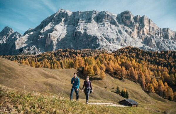 Salgono A Sedici Milioni Gli I