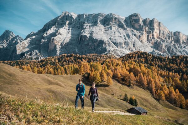 Salgono A Sedici Milioni Gli I