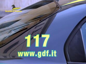 Scoperta Di Piantagioni Illega