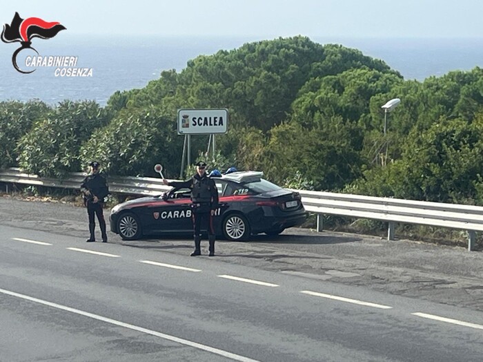 Scoperta Rete Di Spaccio E Vio