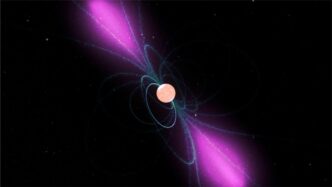 Scoperta Scientifica3A Identifi