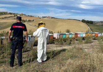 Scoperta Violazione Delle Norm