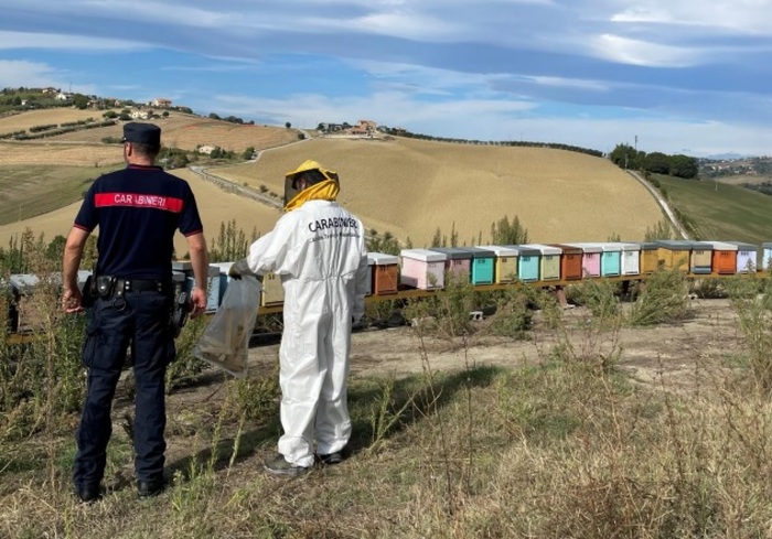 Scoperta Violazione Delle Norm