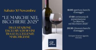 Scopri Le Marche Del Vino3A Pre