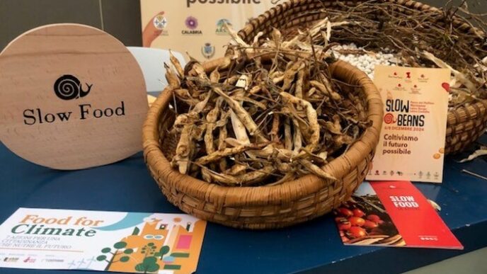 Slow Beans 20243A Il Pollino Si