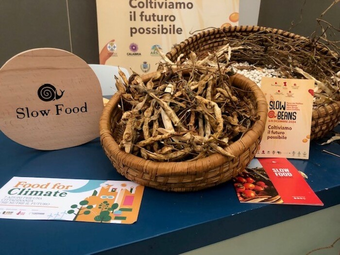 Slow Beans 20243A Il Pollino Si