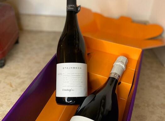 Stajnbech Presenta I Nuovi Vin