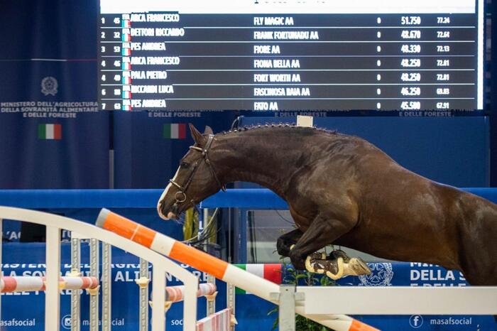 Successo Per Le Gare Di Salto