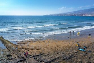 Surf E Cultura3A Il Festival La