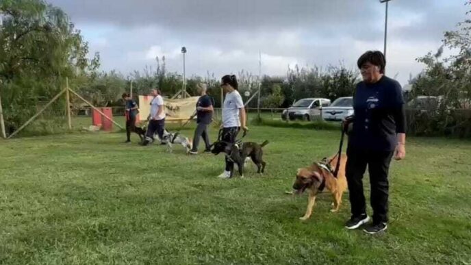 Terracina2C Il Canile Comunale