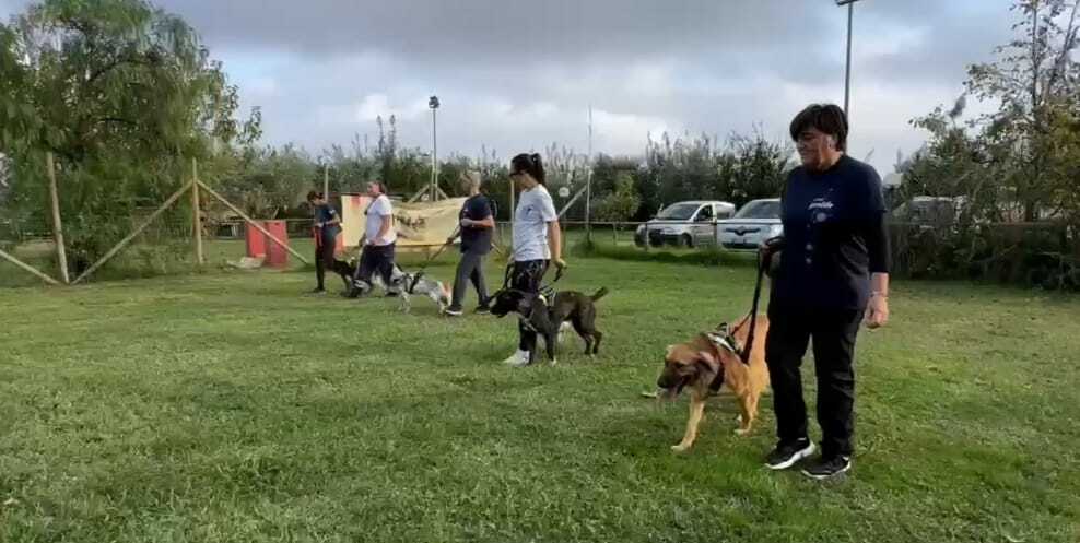 Terracina2C Il Canile Comunale