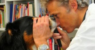 Torino In Lutto Per La Scompar