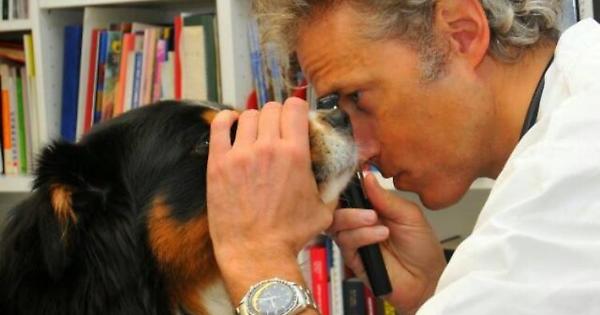 Torino In Lutto Per La Scompar