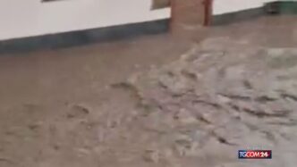 Torna La Paura A Torre Archira