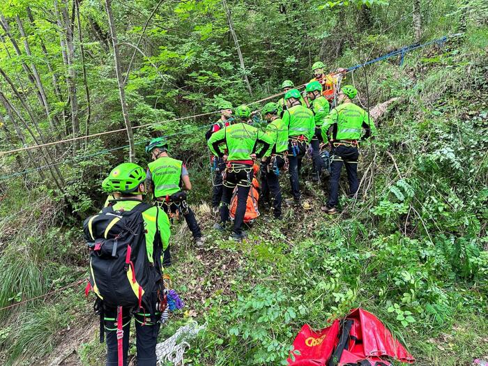 Tragedia Nel Bosco3A Un 86Enne