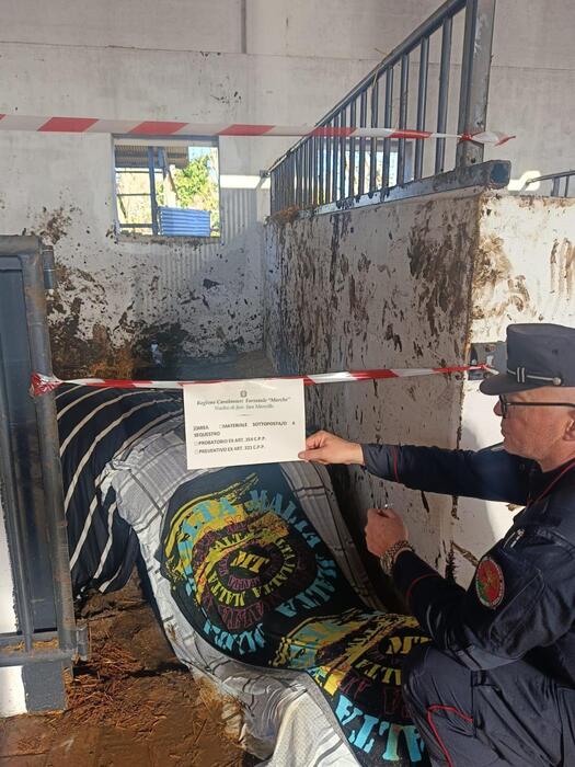 Tragico Incidente In Maneggio3A